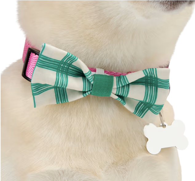 YOULY Pet Bowties, Set of 2, Blue/Green Plaid