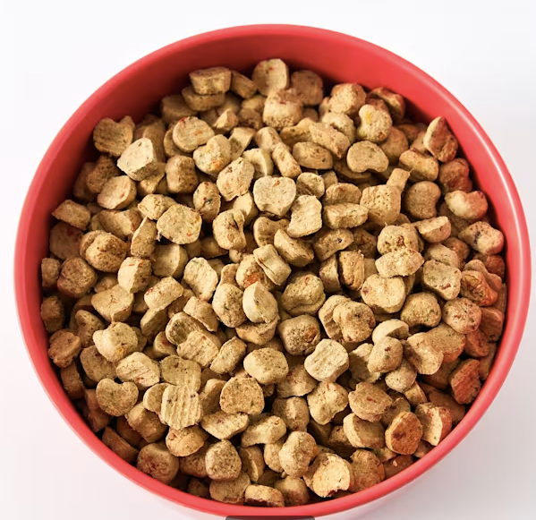 Ollie Baked Turkey Dish with Butternut Squash Dog Food, 5 lbs.