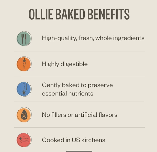 Ollie Baked Turkey Dish with Butternut Squash Dog Food, 5 lbs.
