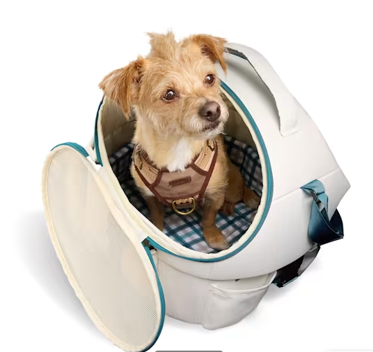 EveryYay 3-in-1 Convertible Pet Carrier