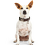 Reddy Jacquard Dog Collar, Olive, Large/X-Large