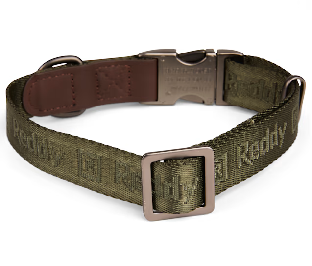 Reddy Jacquard Dog Collar, Olive, Large/X-Large
