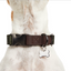 Reddy Jacquard Dog Collar, Olive, Large/X-Large