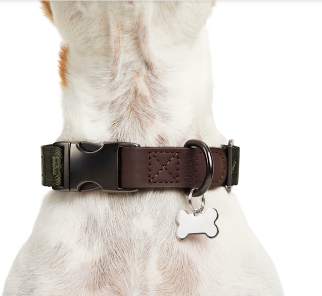 Reddy Jacquard Dog Collar, Olive, Large/X-Large