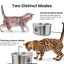 PawsPik SS-01 Stainless Steel Faucet-Design Cat Fountain, 108.2 oz.