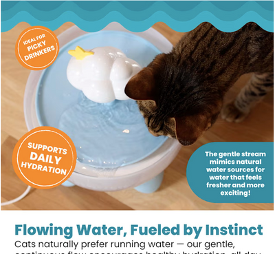 Catstages- 2L Pet Drinking Fountain with 5-Stage Filter, Easy-to-Clean, USB Powered Purrfect Rain Cat Water Fountain, Medium