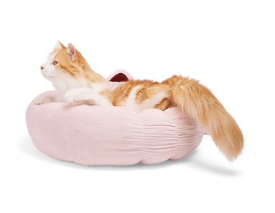 EveryYay Pink Cat Ear Round Bed, 18" L X 18" W X 6" H