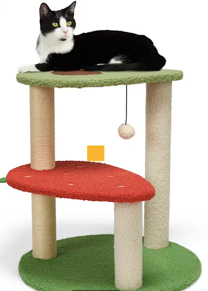 EveryYay Fruit Novelty 2-Level Cat Tree, 20.5" H