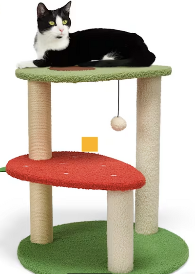 EveryYay Fruit Novelty 2-Level Cat Tree, 20.5" H
