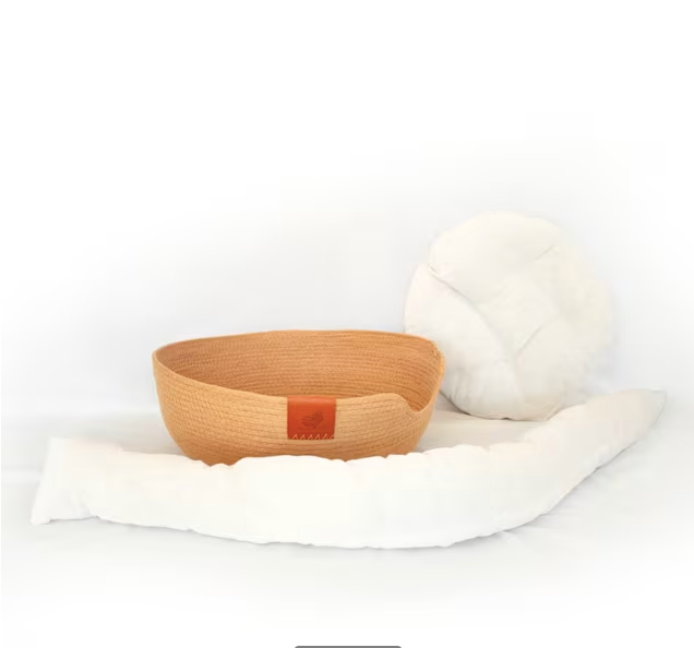 Friends of Normie Wicker Cat Bed, 18" L X 18" W X 5.7" H, Multi, Pack of 3