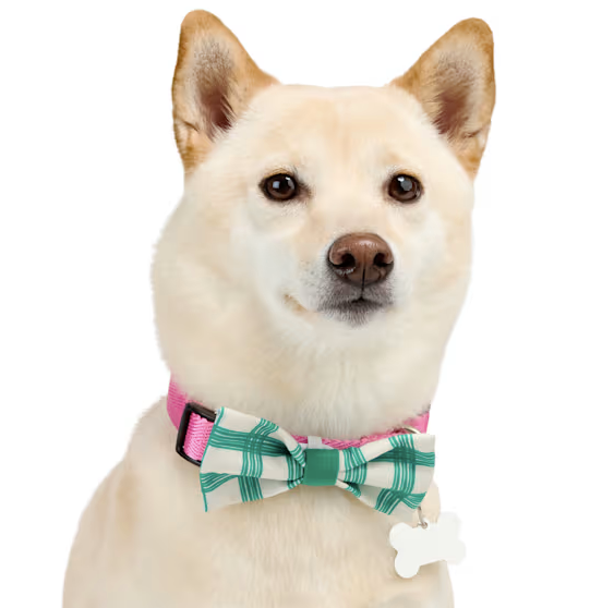YOULY Pet Bowties, Set of 2, Blue/Green Plaid