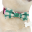 YOULY Pet Bowties, Set of 2, Blue/Green Plaid