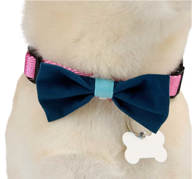 YOULY Pet Bowties, Set of 2, Blue/Green Plaid