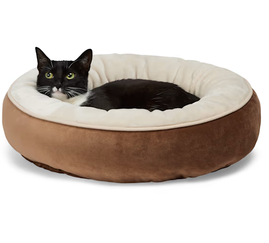 EveryYay Essentials Plush Bolster Round Dog Bed, 20" L X 20" W X 4" H, Small, Brown